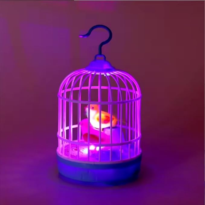 Lovely Talking Bird Cage for Kids